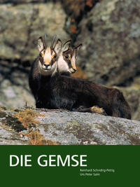 Die Gemse – Biologie und Jagd