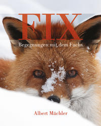 FIX. Begegnungen mit dem Fuchs