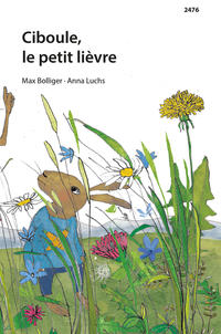 Ciboule, le petit lièvre