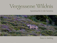 Vergessene Wildnis