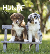 Hunde 2026