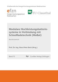 Handlungsoptionen zur Gestaltung des regulatorischen und