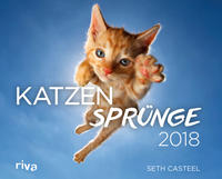 Katzensprünge 2018