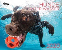 Hunde unter Wasser 2020
