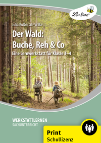 Der Wald: Buche, Reh & Co