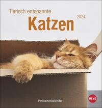 Tierisch entspannte Katzen Postkartenkalender 2024