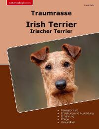 Traumrasse Irish Terrier