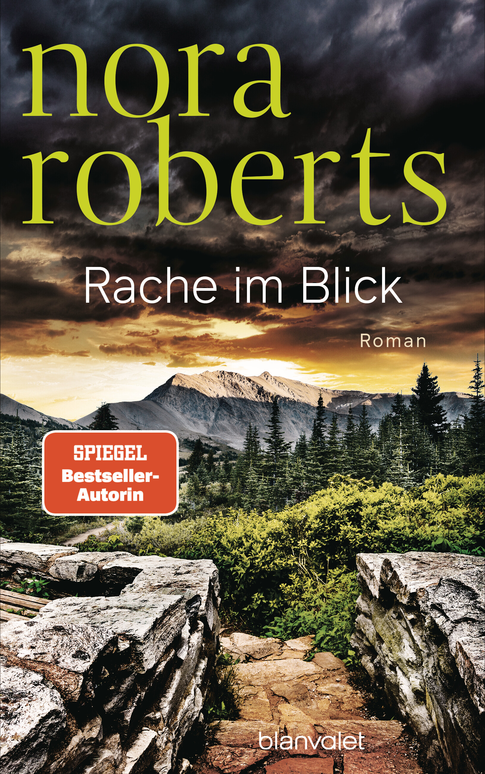 Cover-Abbildung für Rache im Blick (Hardcover) (99999---978-3-7645-0899-9)