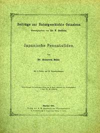 Japanische Pennatuliden