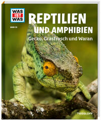 Amphibien und Reptilien - Gecko, Grasfrosch und Waran
