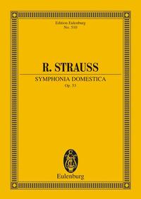 Symphonia domestica