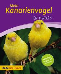 Mein Kanarienvogel zu Hause