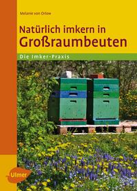 Natürlich imkern in Großraumbeuten