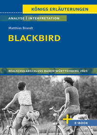Blackbird von Matthias Brandt