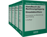 Handbuch der Rechnungslegung - Einzelabschluss
