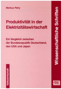 Produktivität in der Elektrizitätswirtschaft