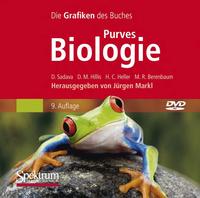 Purves Biologie Bild-DVD