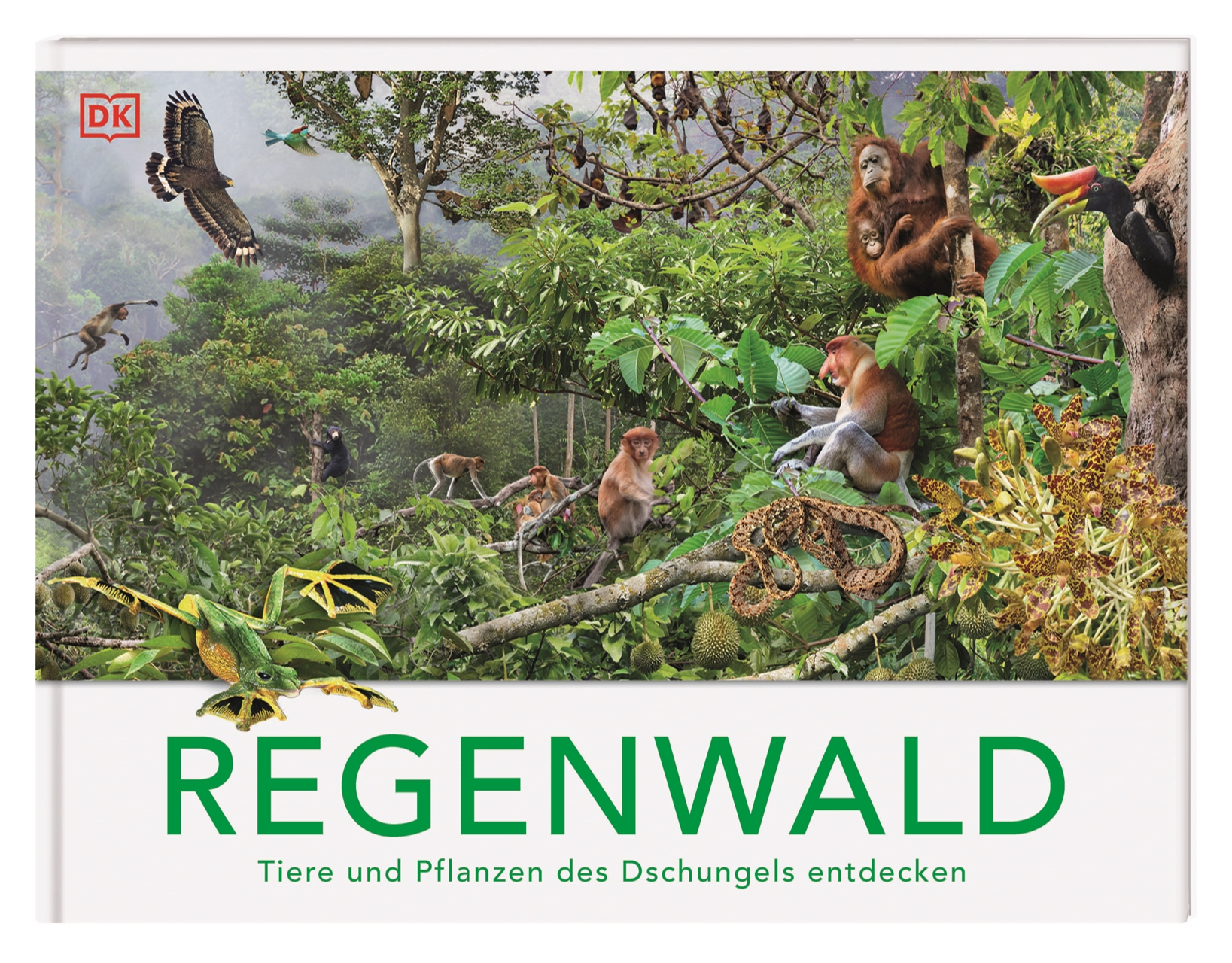 Cover-Abbildung für Regenwald (Hardcover) (99999---978-3-8310-5145-8)