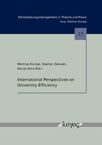 International Perspectives on University Efficiency