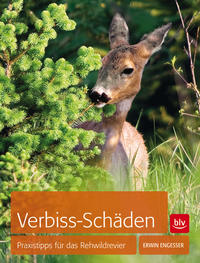 Verbiss-Schäden