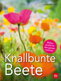 Knallbunte Beete