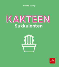 Kakteen Sukkulenten