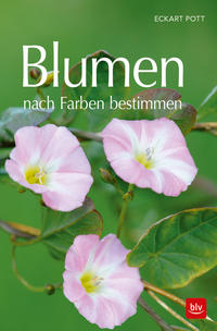 Blumen nach Farben bestimmen