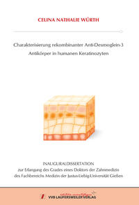 Charakterisierung rekombinanter Anti-Desmoglein-3 Antikörper in humanen Keratinozyten