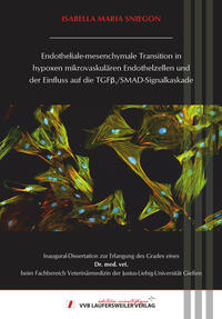 Endotheliale-mesenchymale Transition in hypoxen mikrovaskulären Endothelzellen und der Einfluss auf die TGF?1/SMAD-Signalkaskade