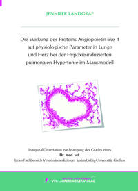 Die Wirkung des Proteins Angiopoietin-like 4 auf physiologische Parameter in Lunge und Herz bei der Hypoxie-induzierten pulmonalen Hypertonie im Mausmodell