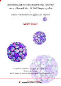 Immunantwort nierentransplantierter Patienten mit erhöhtem Risiko für BKV-Nephropathie - Einfluss von drei immunsuppressiven Regimen