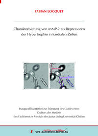 Charakterisierung von MMP-2 als Repressoren der Hypertrophie in kardialen Zellen