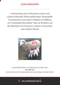 Untersuchung zum Vorkommen oviner und caniner kolostraler Polymorphkerniger Neutrophiler Granulozyten sowie deren Fähigkeit zur Bildung von Neutrophil Extracellular Traps als Reaktion auf die Inkubation mit Neospora caninum Tachyzoiten und anderen St