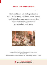 Einflussfaktoren auf die Reproduktion von Zwergflamingos (Phoeniconaias minor) und Maßnahmen zur Verbesserung des Reproduktionserfolges in einer zoologischen Einrichtung