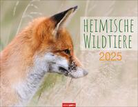 Heimische Wildtiere Kalender 2025