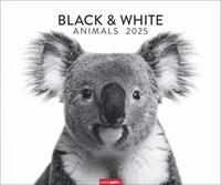Black & White Animals 2025