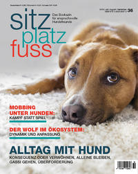 SitzPlatzFuss, Ausgabe 36