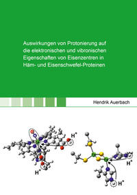 Auswirkungen von Protonierung auf die elektronischen und vibronischen Eigenschaften von Eisenzentren in Häm- und Eisenschwefel-Proteinen