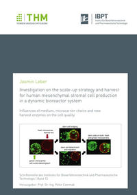 Investigation on the scale-up strategy and harvest for human mesenchymal stromal cell production in a dynamic bioreactor system