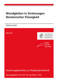 Wandgleiten in Strömungen Newtonscher Flüssigkeit