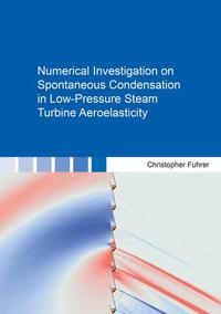 Numerical Investigation on Spontaneous Condensation in Low-Pressure Steam Turbine Aeroelasticity