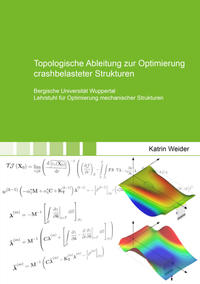 Topologische Ableitung zur Optimierung crashbelasteter Strukturen