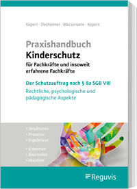Praxishandbuch Kinderschutz für Fachkräfte und insoweit erfahrene Fachkräfte