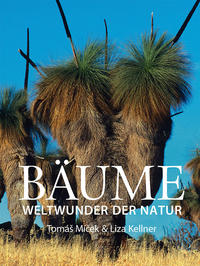 Bäume