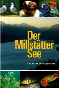 Der Millstätter See