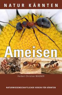 Die Ameisen Kärntens