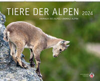Tiere der Alpen 2024