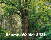 Bäume-Wälder 2023
