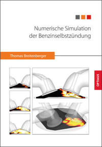 Numerische Simulation der Benzinselbstzündung