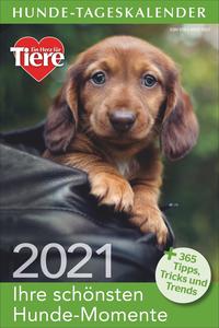 Hunde-Tageskalender 2021